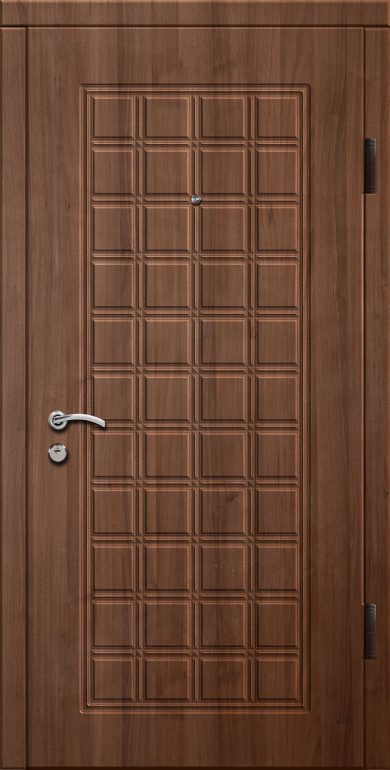 Входная дверь Эконом 70 960x2050 Правая, Снаружи: Обычный рисунок Ф107 Орех седой темный, Внутри: Обычный рисунок Ф107 Орех седой темный